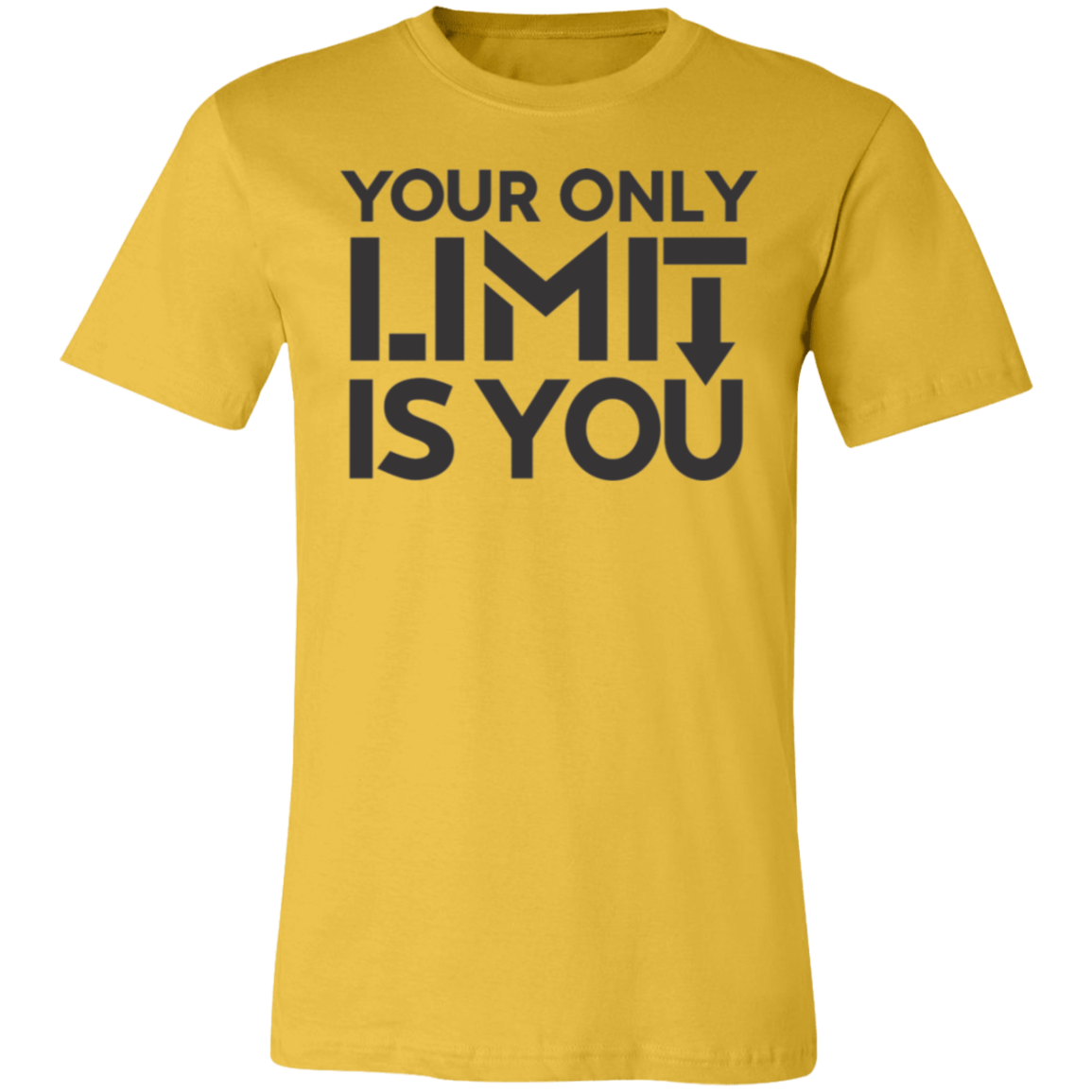 Your Only Limit is you Premium Women's Tee